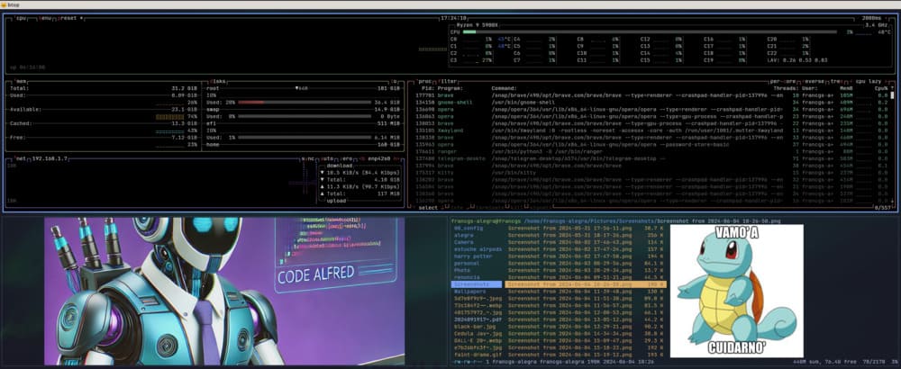 Kitty terminal setup with Ranger and image previews